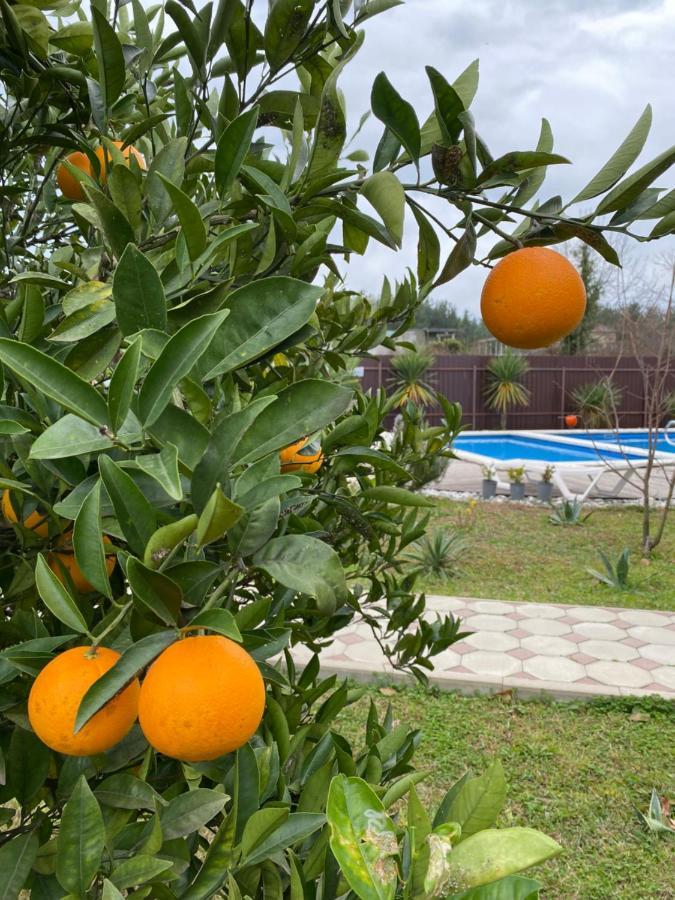 Hotel Solntse Abkhazii Lidzava Dış mekan fotoğraf