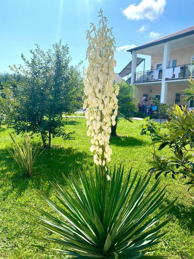 Hotel Solntse Abkhazii Lidzava Dış mekan fotoğraf
